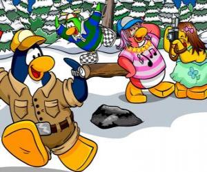 Grupo de pingüinos pasando el día al aire libre disfrutando de la nieve