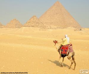 Puzle Velblouda před pyramid, pohřební památky starého Egypta