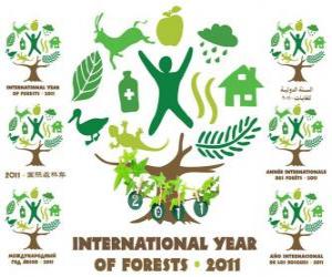 Puzle 2011 Mezinárodní rok lesů