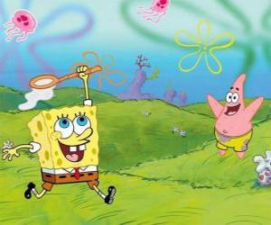 Puzle SpongeBob a Patrick Star snaží chytit medúzy v Bikiny Bottom