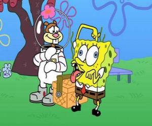 Puzle SpongeBob se Sandy
