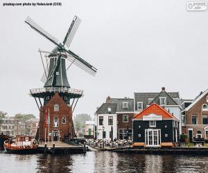 Puzle Adriaan Mill, Haarlem, Nizozemsko