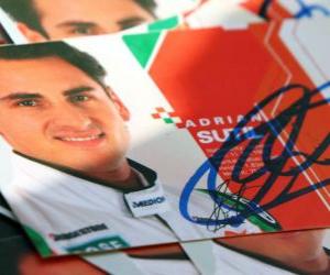 Puzle Adrian Sutil - Force India - maďarské Grand Prix 2010