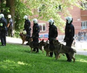 Puzle Agenti pořádkové policie se psy