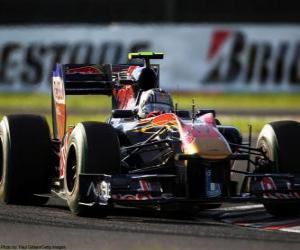 Puzle Alguersuari - Toro Rosso - Suzuka 2010