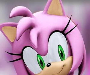 Puzle Amy Rose je růžová ježek se zelenýma očima, je šíleně zamilovaná do Sonic