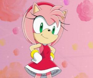 Puzle Amy Rose, Ježek samice, která tvrdí, že přítelkyně Sonic