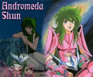 Puzle Andromeda Shun, světec bronzu ze souhvězdí Andromeda je