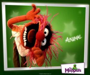 Puzle Animal, šílené bubeník z Muppet Show je primitivní člověk