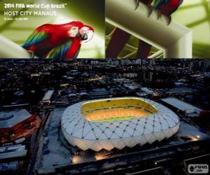 Puzle Arena Amazônia (50 000), Manaus