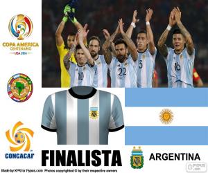 Puzle ARG finalistou, Copa America 2016