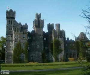 Puzle Ashford Castle, Irsko