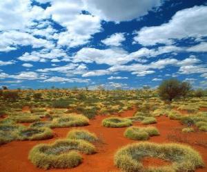 Puzle Australský outback