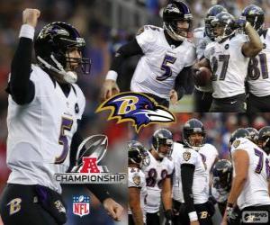 Puzle Baltimore Ravens 2012 AFC champion