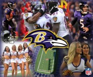 Puzle Baltimore Ravens