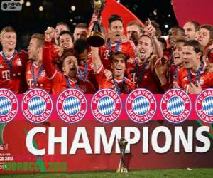Puzle Bayern Mnichov, Mistr Mistrovství světa ve fotbale klubů  2013