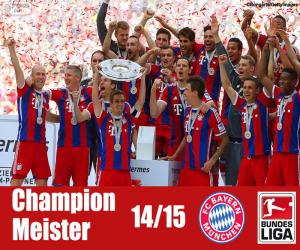 Puzle Bayern Mnichov, vítěz 2014-2015