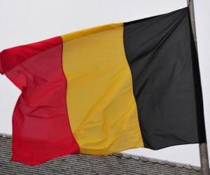 Puzle Belgická vlajka