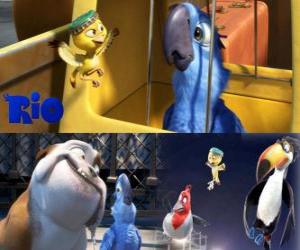 Puzle Blu spolu s jinými charaktery ve filmu Rio