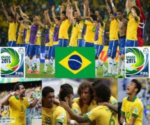 Puzle Brazílie Cup FIFA konfederace 2013