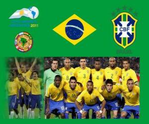 Puzle Brazílie národní tým, skupina B, Argentina 2011