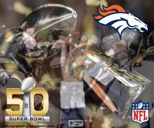 Puzle Broncos, Super Bowl mistrů 2016