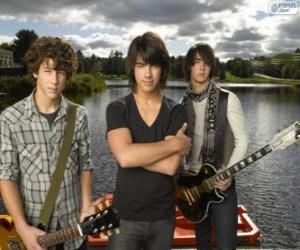 Puzle Brothers Grey, Camp Rock