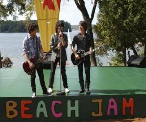 Puzle Brothers Shane (Joe Jonas), Nate (Nick Jonas) a Jason Gray (Kevin Jonas), zpěv na Camp Rock Beach Jam