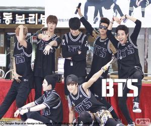 Puzle BTS, Bangtan Boys