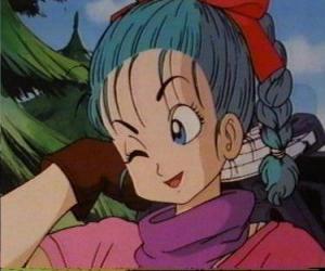 Puzle Bulma, dcera jednoho z nejschopnějších vědců na světě, dosáhne svého uši Legend of the Dragon Míče a rozhodne se najít