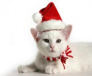 Puzle bílá kočka s Santa Claus klobouky