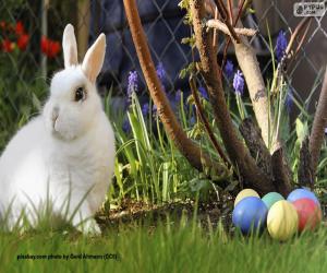 Puzle Bílý králík a velikonoční vajíčka