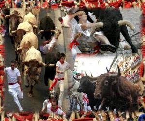 Puzle Běh býků nebo encierro, Sanfermines. Pamplona, ​​Navarra, Španělsko. San Fermin festival od 6. do 14. července