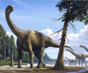 Puzle Camarasaurus v krajině