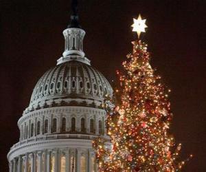 Puzle Capitol vánoční strom
