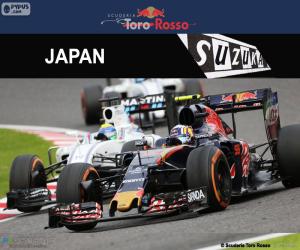 Puzle Carlos Sainz Jr., Grand Prix Japonska 2016