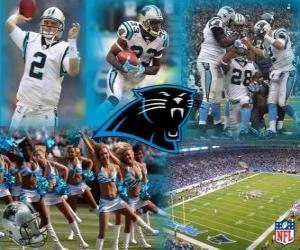 Puzle Carolina Panthers