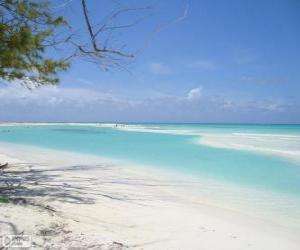 Puzle Cayo Largo, Kuba