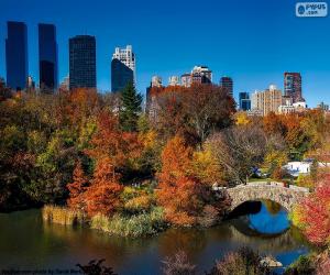 Puzle Central Park, New York