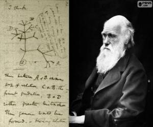 Puzle Charles Darwin (1809-1882), britský biolog