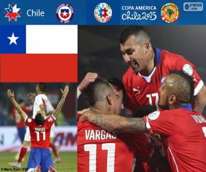 Puzle CHI finalistou, Copa America 2015