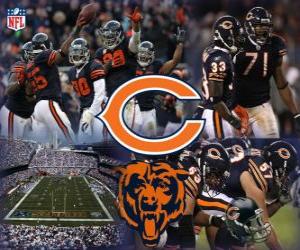 Puzle Chicago Bears