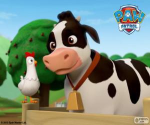 Puzle Chickaletta a Bettina, PAW Patrol