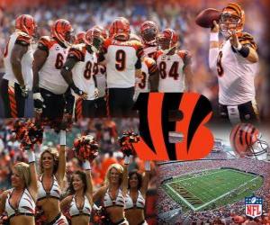 Puzle Cincinnati Bengals