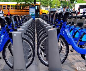 Puzle Citi Bike, New York