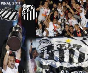 Puzle Copa Libertadores 2011 mistr FC Santos