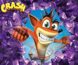 Puzle Crash Bandicoot, protagonista videohry Crash Bandicoot