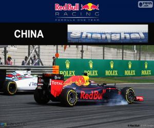 Puzle D. Kuyat Grand Prix Číny 2016