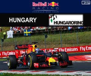Puzle Daniel Ricciardo, GP Maďarska 2016