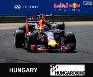 Puzle Daniil Kvyat Grand Prix Maďarska 2015